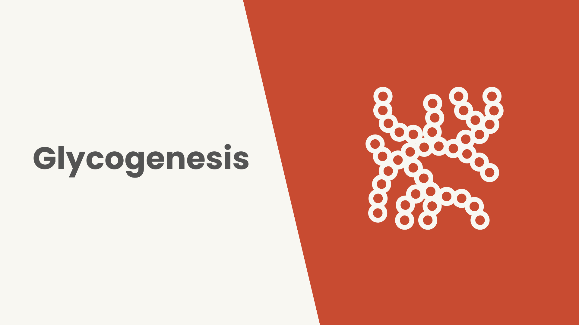 Lesson Glycogenesis