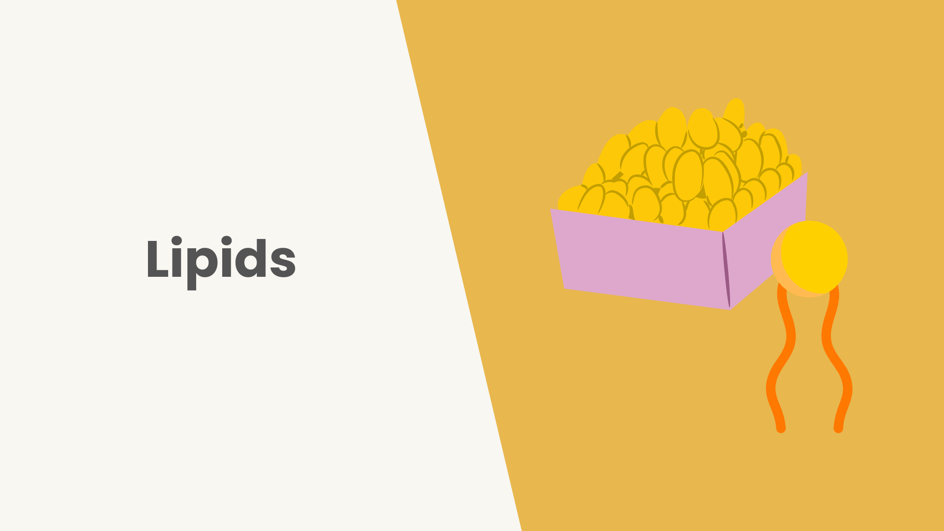 Lesson Lipids